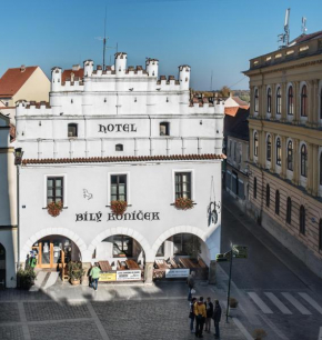 Гостиница Hotel Bílý Koníček  Требон